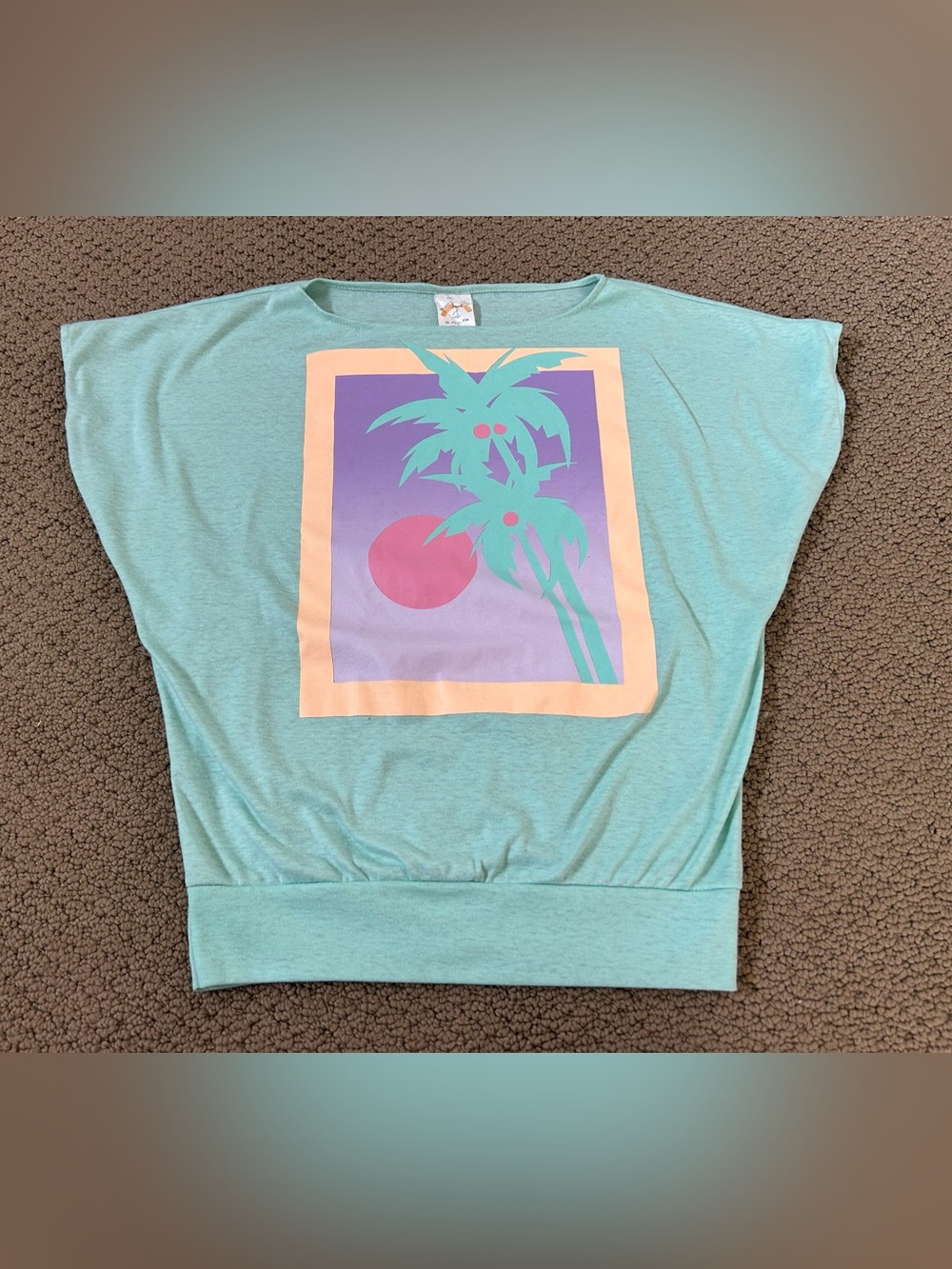St. Pete’s FL Women's Palm 1980s Short Sleeve Tee 80s Single Stitch T-Shirt